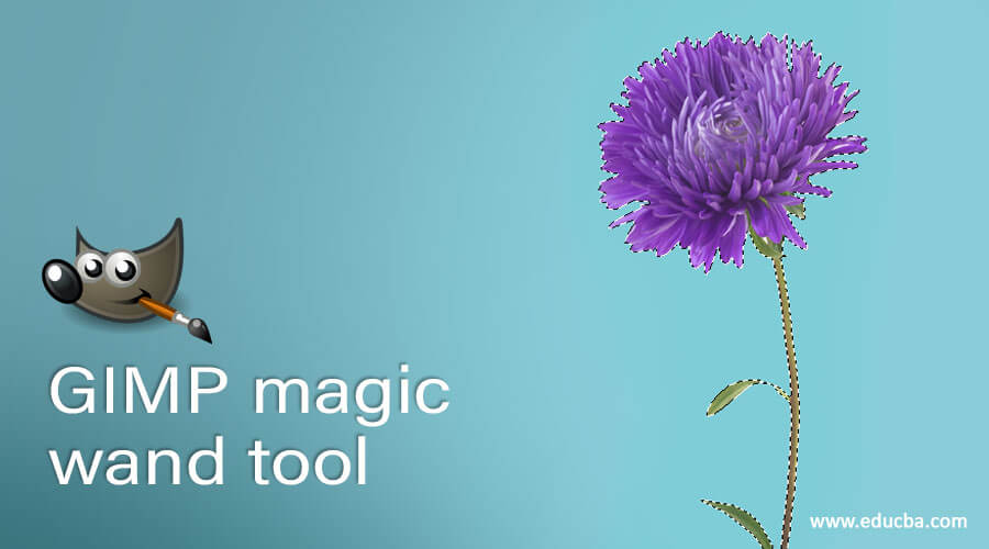 GIMP magic wand tool