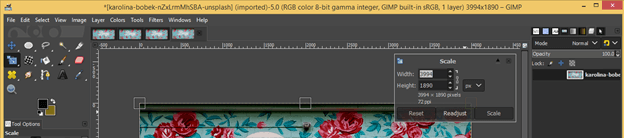 GIMP resize image output 12