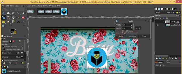 GIMP resize image output 19