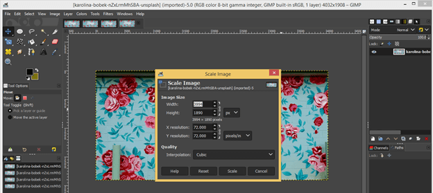 GIMP resize image output 3