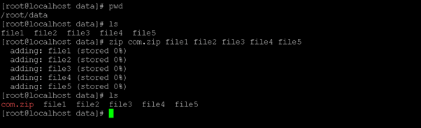 Linux unzip zip file output 2