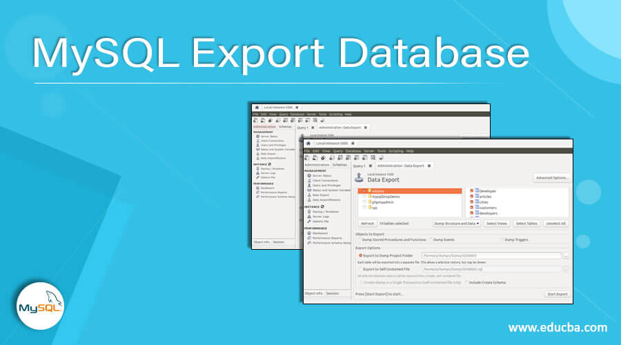 MySQL Export Database