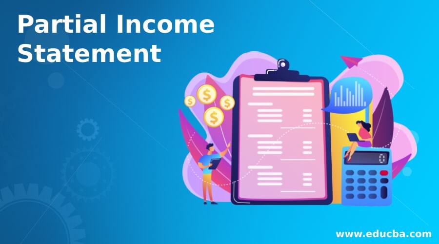 Partial Income Statement
