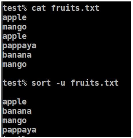 Unix Sort by Column 10