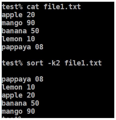 Unix Sort by Column 8