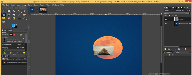 GIMP import image output 13
