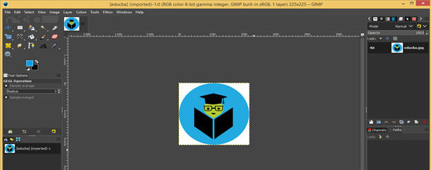GIMP import image output 7