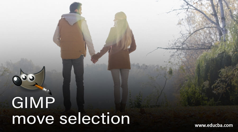 GIMP move selection