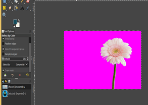 GIMP remove background output 10.2