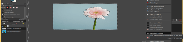 GIMP remove background output 11