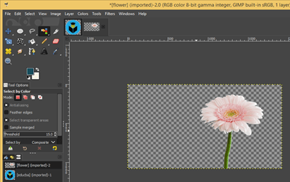 GIMP remove background output 13.2