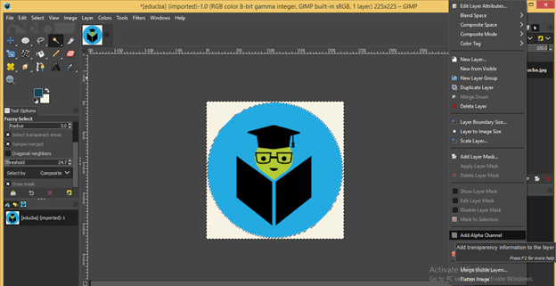 GIMP remove background output 5