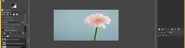 GIMP remove background output 7