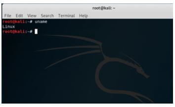 Kali Linux Terminal 1