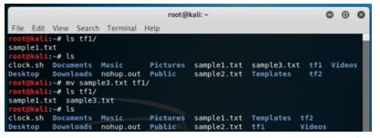 Kali Linux Terminal 11