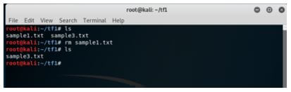 Kali Linux Terminal 12