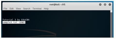Kali Linux Terminal 15