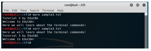 Kali Linux Terminal 16