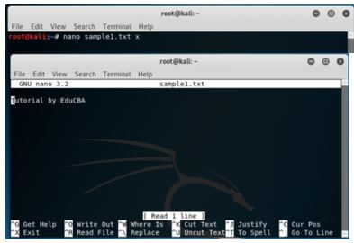 Kali Linux Terminal 19