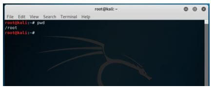 Kali Linux Terminal 2