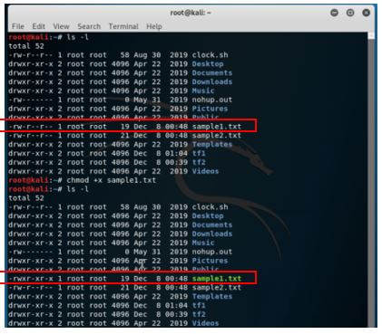 Kali Linux Terminal 21