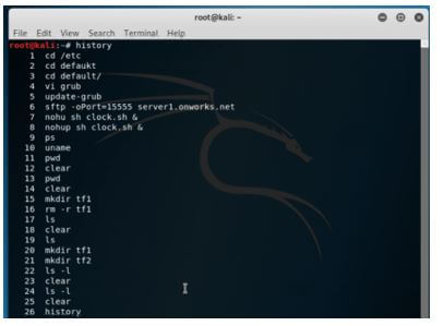 Kali Linux Terminal 23