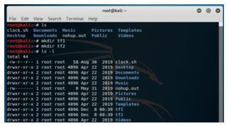 Kali Linux Terminal 8
