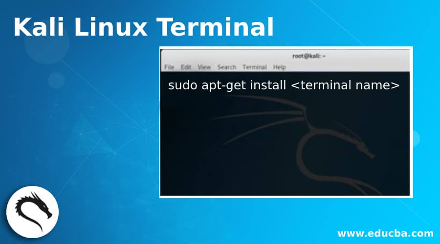 Kali Linux Terminal