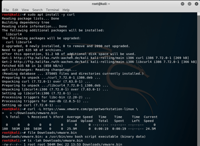Kali Linux VMware output 1