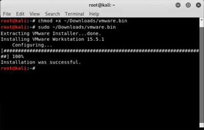 Kali Linux VMware output 2