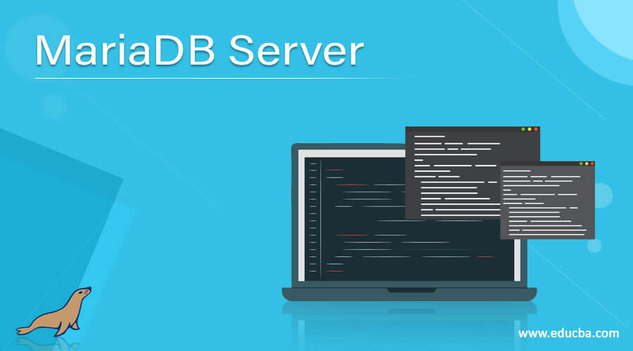 MariaDB Server