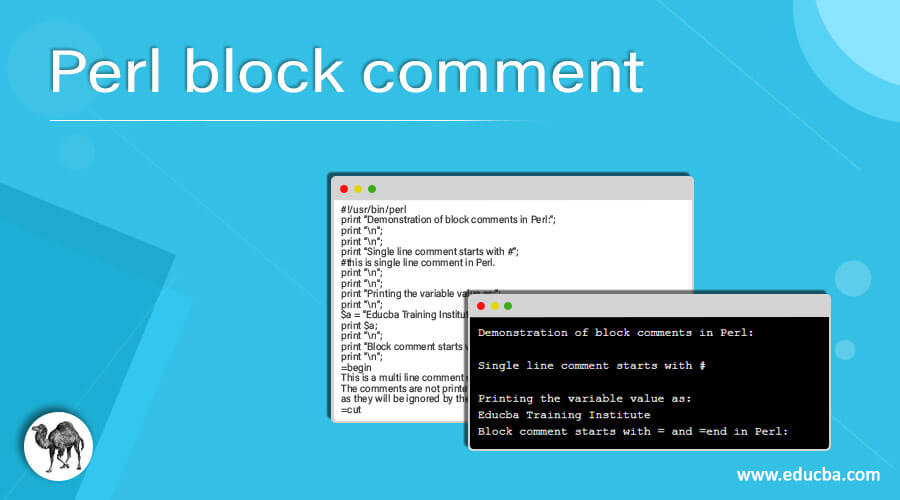 Perl block comment