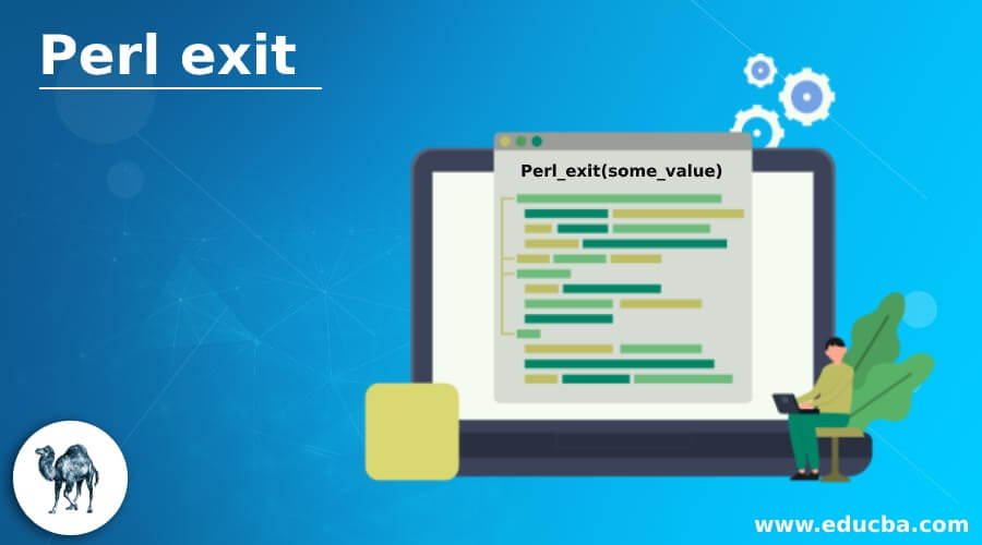 Perl exit