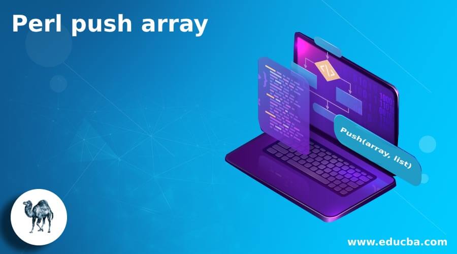 Perl push array