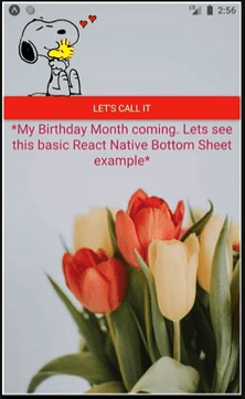 React native bottom sheet output 1