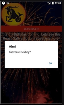 React native bottom sheet output 10