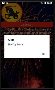 React native bottom sheet output 11