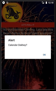 React native bottom sheet output 13