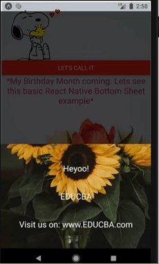 React native bottom sheet output 2