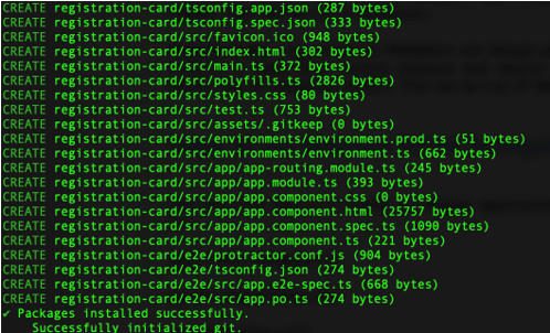 Angular 7 Form Validations 3