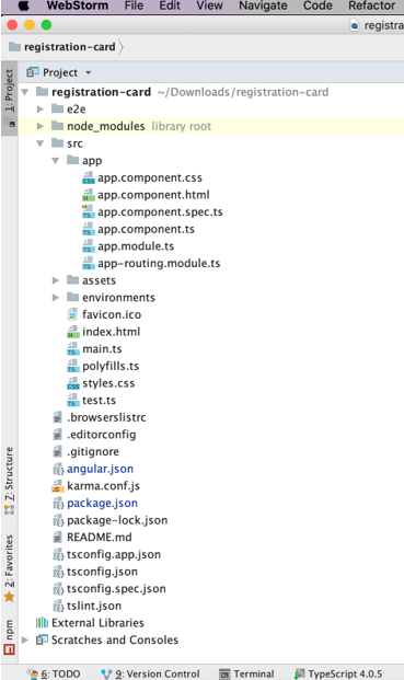 Angular 7 Form Validations 4