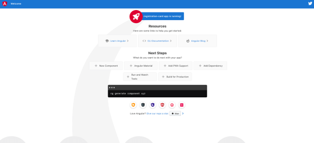 Angular 7 Form Validations 6