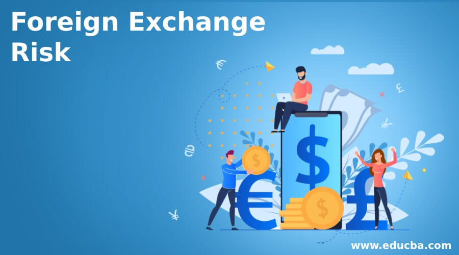 Foreign Exchange Risk