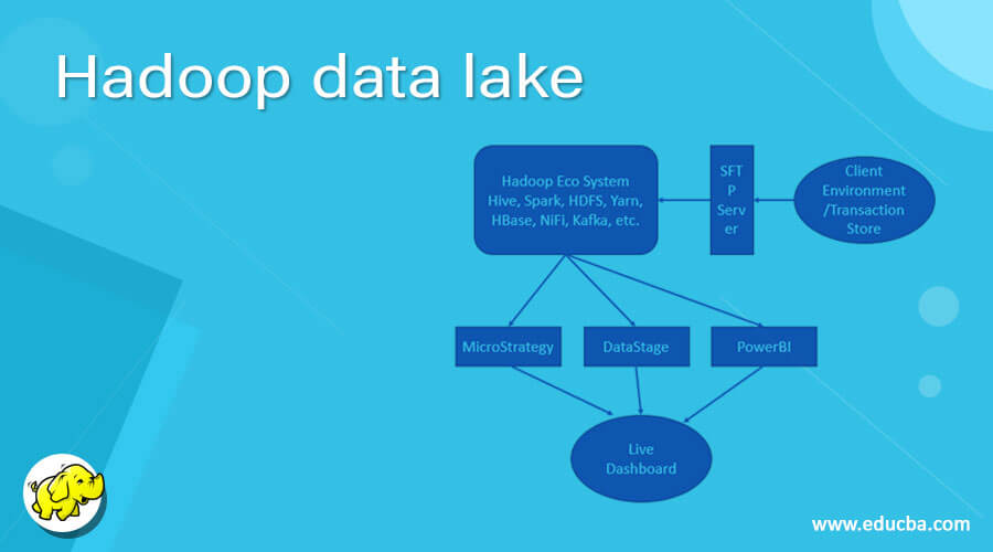 Hadoop data lake