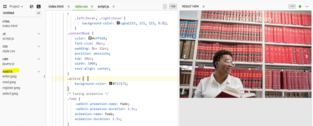 JavaScript Image Slider output 1
