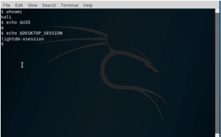 Kali Linux GNOME 1