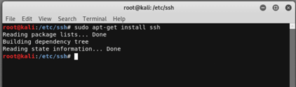 Kali Linux SSH output 1