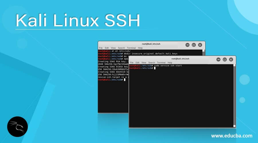 Kali Linux SSH