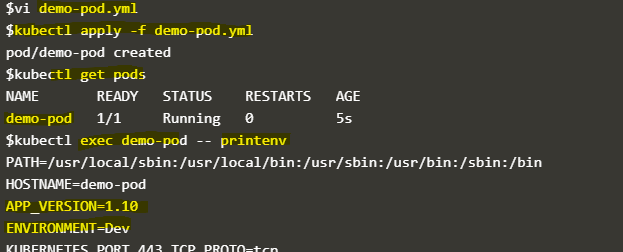 Kubernetes Environment Variables 1