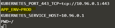 Kubernetes Environment Variables 5